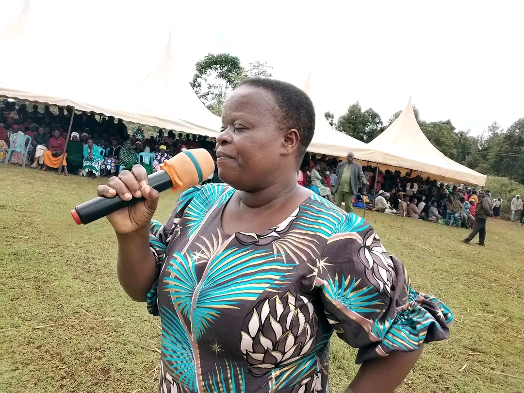 H.E Dr. Stephen Kalonzo Musyoka